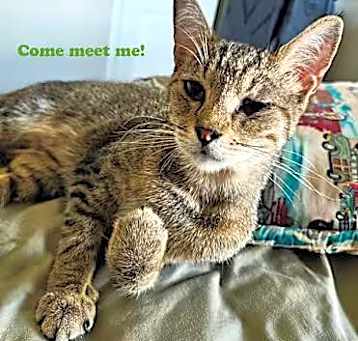 Photo of Tabitha