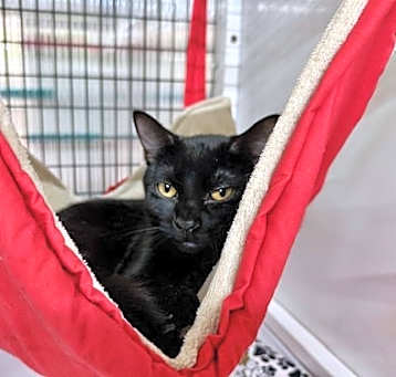 Photo of Sabrina