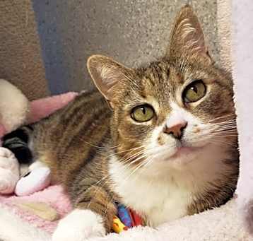 Photo of Princess