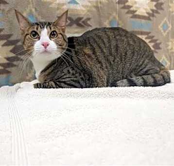 Photo of Sir Winston