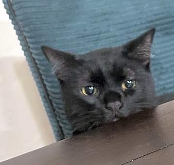 Photo of Dussè