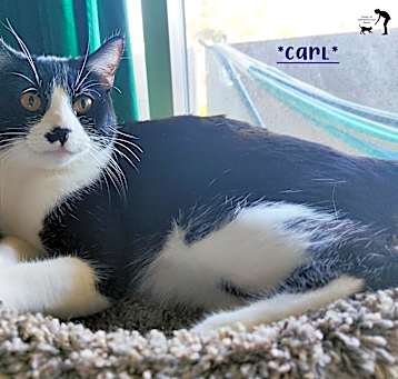 Photo of Carl