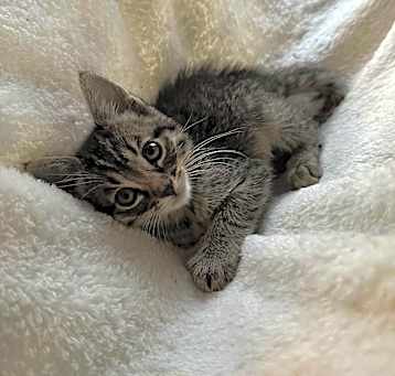 Photo of Meadow