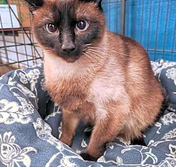 Photo of Janice