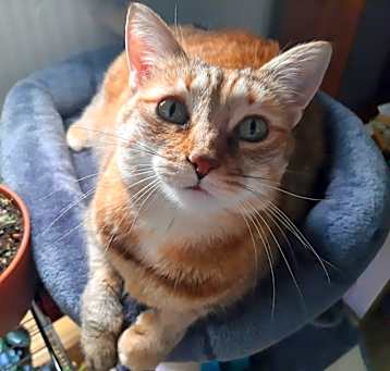Photo of Hazel