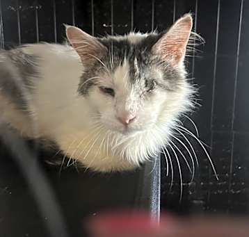 Photo of Winks