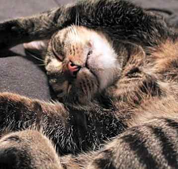 Photo of Kiki