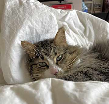 Photo of Baby Billy