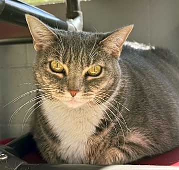 Photo of Kiki