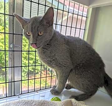 Photo of Kiwi