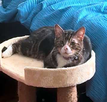 Photo of Boots