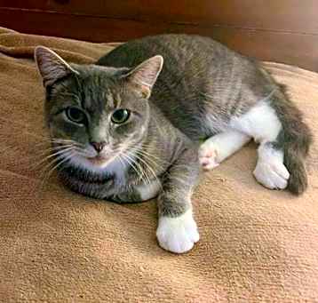 Photo of Muffy