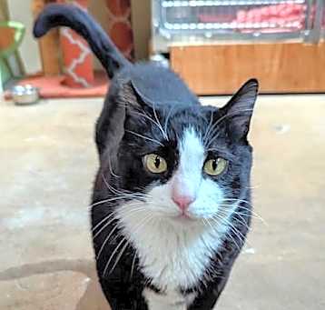 Photo of Tommy