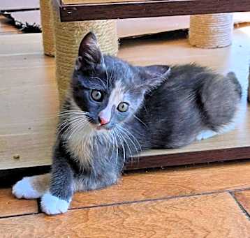 Photo of Clarissa