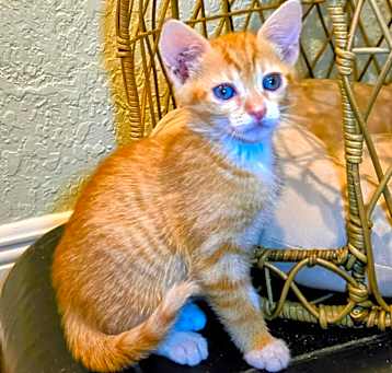 Photo of Cecily