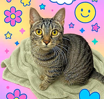 Photo of Skylar