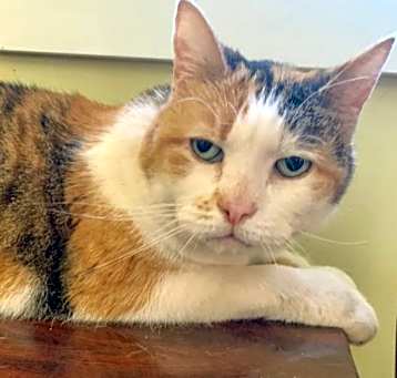 Photo of Millie