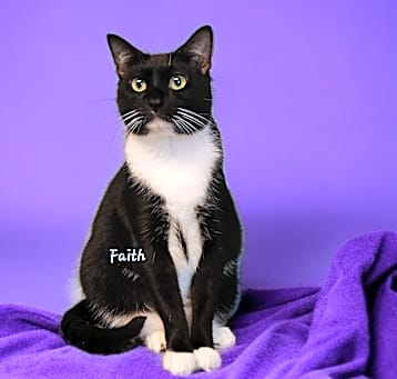 Photo of Faith 2