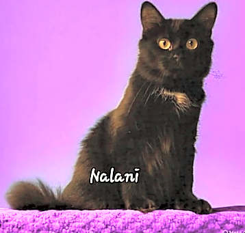 Photo of Nalani