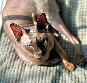 Photo of Milton