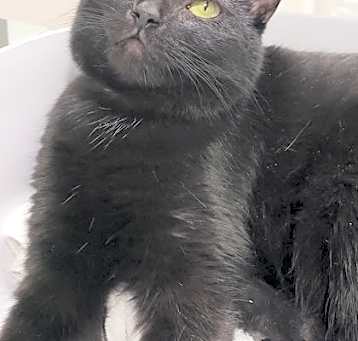 Photo of Tabitha