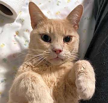 Photo of Lazlo