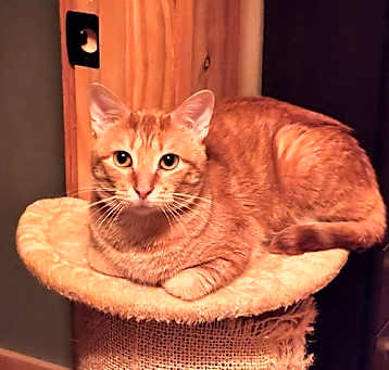 Photo of Conner