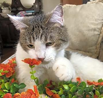 Photo of Booger