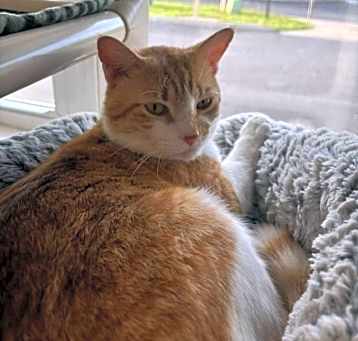 Photo of Jonathan