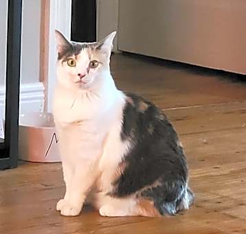 Photo of Gaia