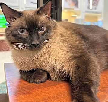 Photo of Cleo