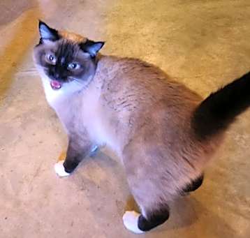 Photo of Hazel