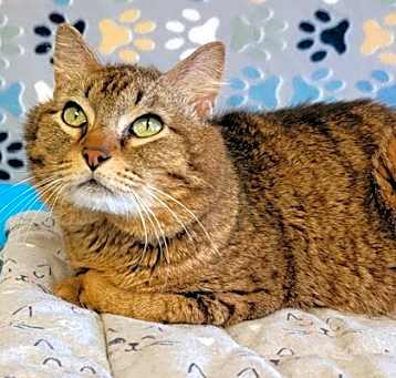 Photo of Tiggy