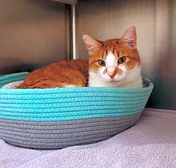 Photo of HONEY