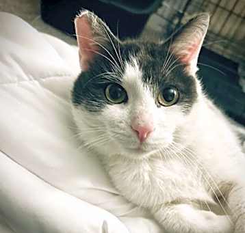 Photo of Elliot