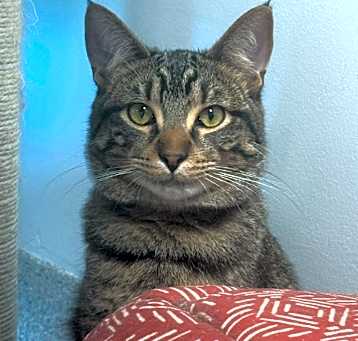 Photo of Ferrero