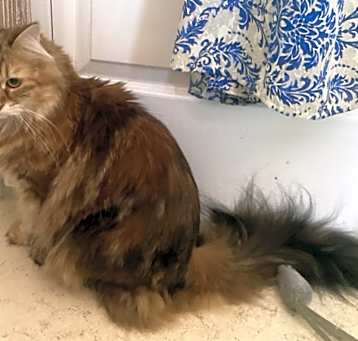 Photo of Ricky (girl)