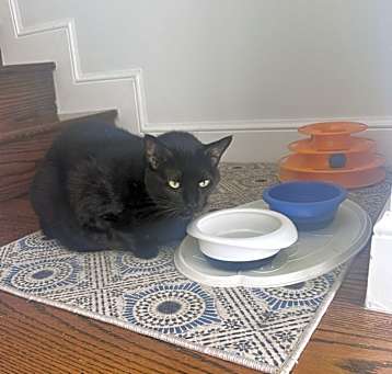Photo of Lucy