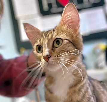 Photo of Bell