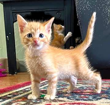 Photo of Twitty