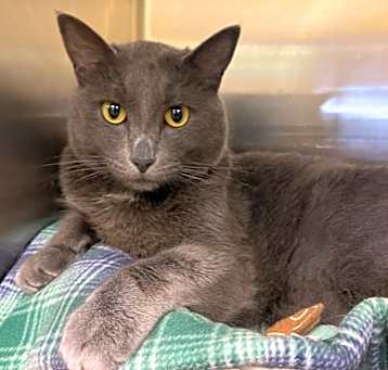 Photo of Gandalf