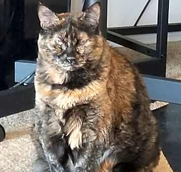 Photo of Spazzy