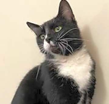 Photo of CHARLIE BOY