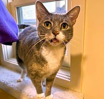 Photo of Molly