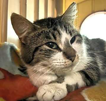 Photo of Crystal