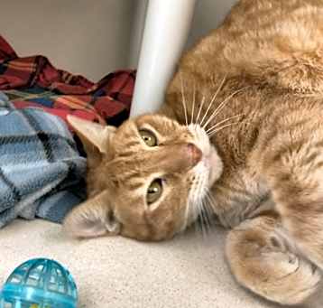 Photo of Wally