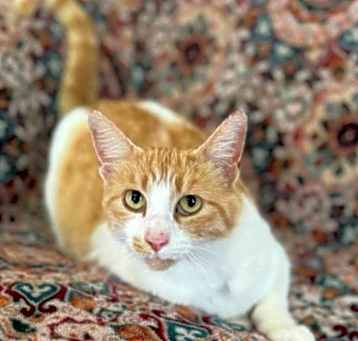 Photo of Samantha