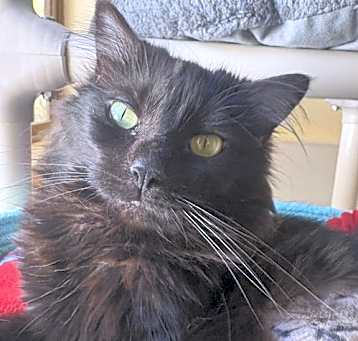 Photo of Maeve