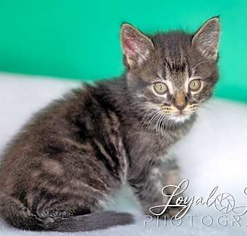Photo of Lonnie 