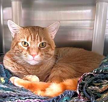 Photo of Symba